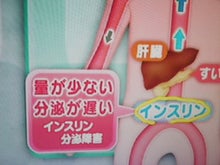 にゃーのダイエット日記