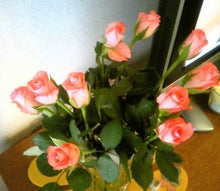 桃紅色　小猪　的　中国　博客-ピンクのバラ