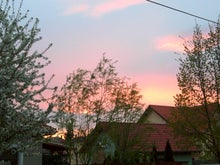 Furunyan~のブログ-morning sky
