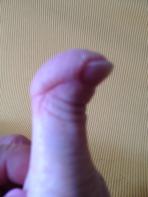 photo:01