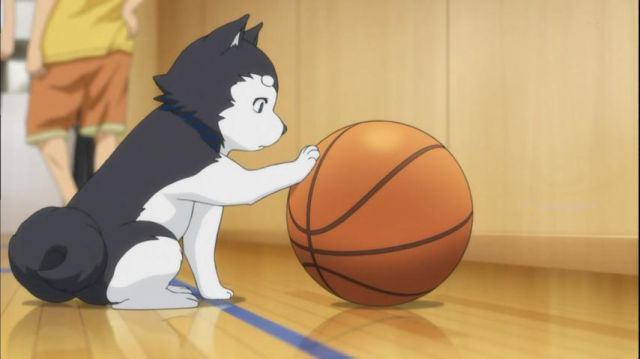 テツヤ2号 黒子のバスケ 声優顔写真 キャラ紹介まとめ Naver まとめ