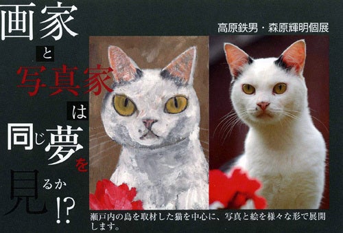 猫好き必見!猫画家&猫写真家のコラボ展 | にゃんこまみれ隊✳猫と花と
