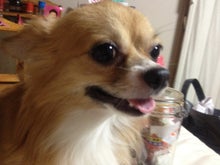 $ヨフィエルカナ☆スピリチュアルリーディング-IMG_9916.jpg