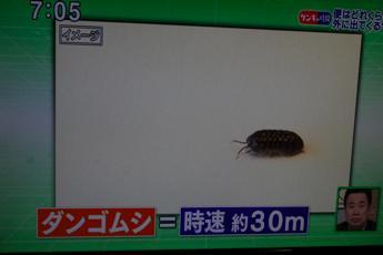 猫野の食道楽日記