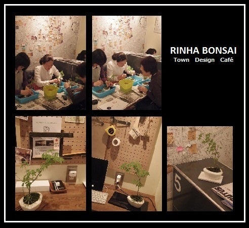 bonsai life      －盆栽のある暮らし－　東京の盆栽教室　琳葉(りんは)盆栽　RINHA BONSAI-琳葉盆栽教室