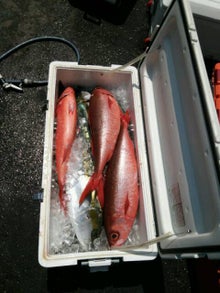 タカミの釣りヴログ(仮)-DSC_0035.JPG
