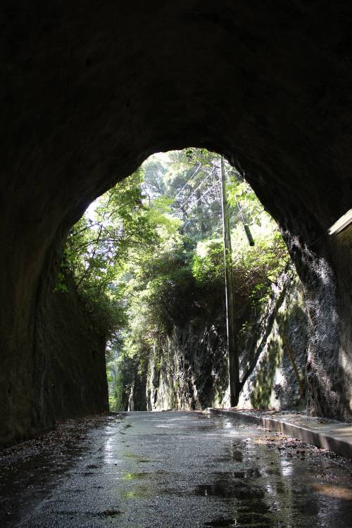 道にあるちょっと古いもの-船吉隧道
