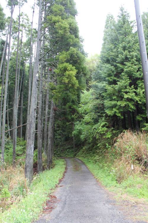道にあるちょっと古いもの-川畑隧道