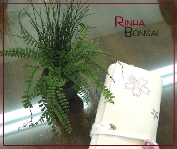 bonsai life      －盆栽のある暮らし－　東京の盆栽教室　琳葉(りんは)盆栽　RINHA BONSAI-琳葉盆栽　道具ケース
