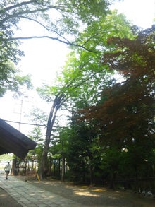 $精神世界の鉄人のブログ-130811_105016.jpg