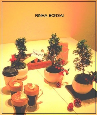 bonsai life      －盆栽のある暮らし－　東京の盆栽教室　琳葉(りんは)盆栽　RINHA BONSAI-琳葉盆栽　クリスマス