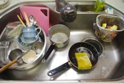 猫野の食道楽日記