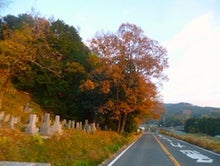 大ぼら一代番外地