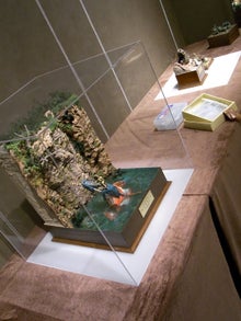 あにさんの作品