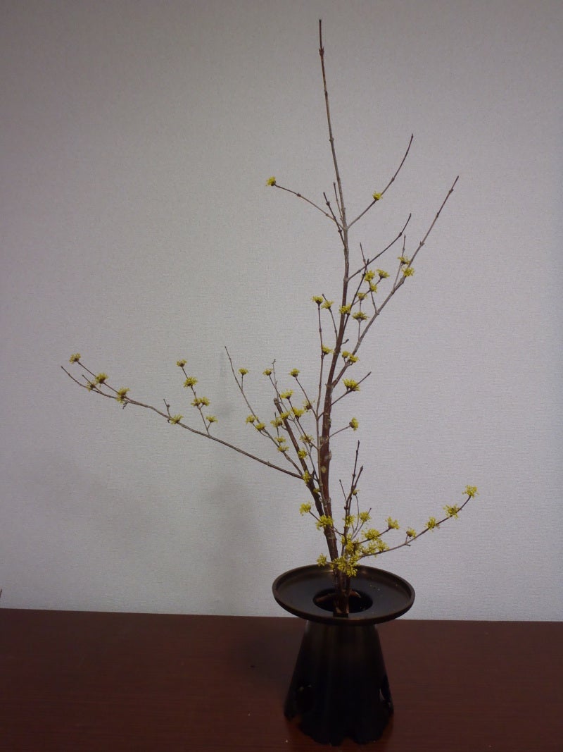 池坊 御玄猪 おげんちょ 花器 華道 池坊 御玄猪 おげんちょ 花器 華道