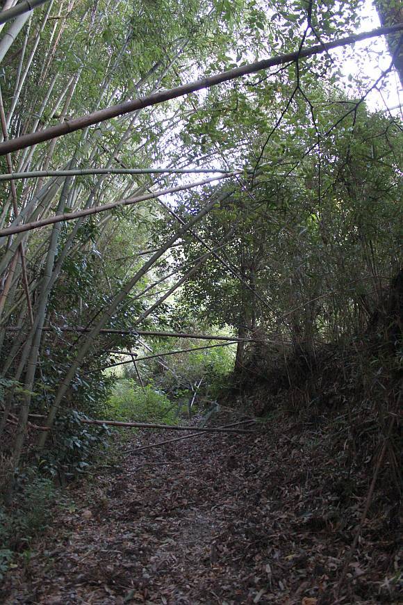 (仮称)市野々隧道