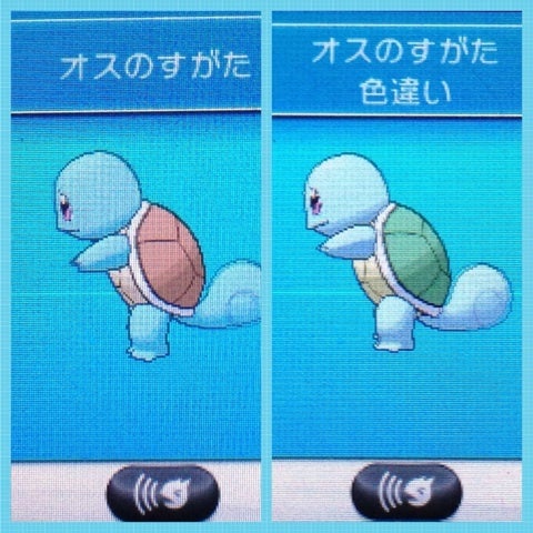 国際孵化で色違いゼニガメゲット まったりポケモン色違い日記