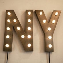 NY LED Sign Light