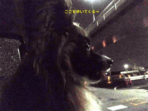お迎え_04
