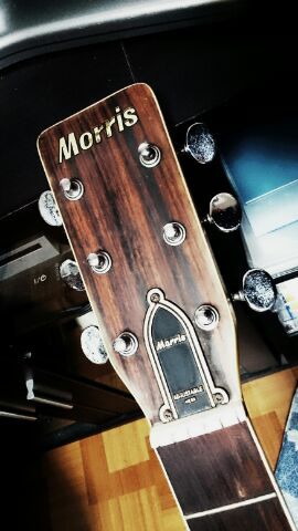 Morris Fをみつけて   エビサンズギター