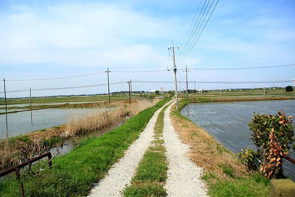 小見川の名称不明橋