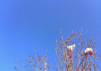 青空