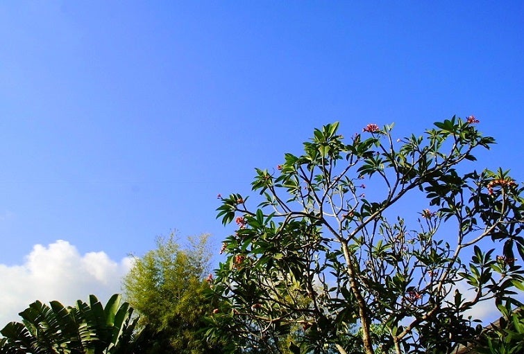 VillaAirBali