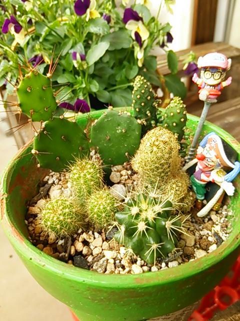 サボさんの秘密に迫る！「みいつけた！」人気キャラの声は？中の