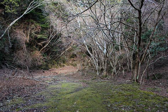 (仮称)田代隧道
