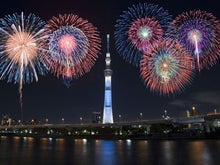 屋形船観覧クルーズ空席情報