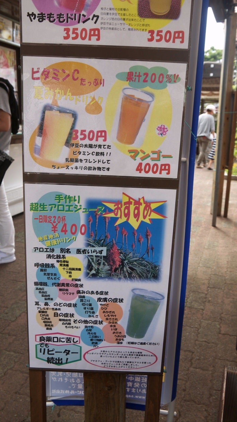 城ヶ崎