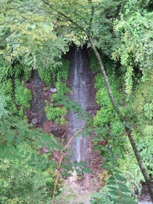 ての湯裏山から蛇骨川に注ぐ