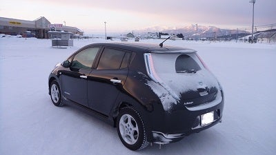 Leaf Life リーフな日々