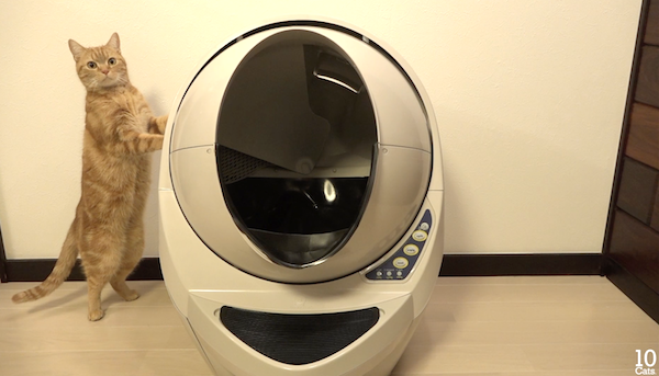 新しい猫トイレ Litter Robot Open Air | 10 Cats. オフィシャルブログ Powered by Ameba