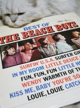 THE BEACH BOYS / PET SOUNDS 米盤 LP (T2458/DT2458) | 聴いてみた