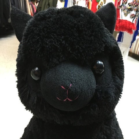 大人の上質 モノトーン アルパカ アルパカッソ 黒 BIG ぬいぐるみ ブラック アルパカ