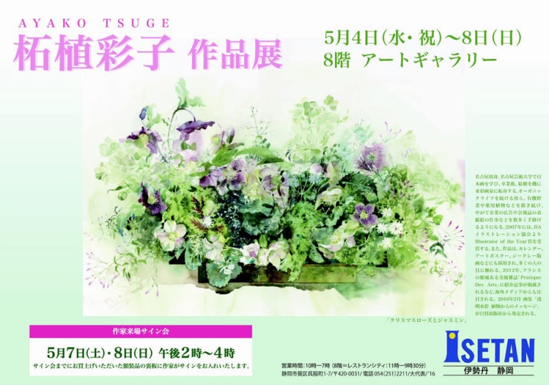 薄ピンクのチューリップ | 柘植彩子の透明水彩画