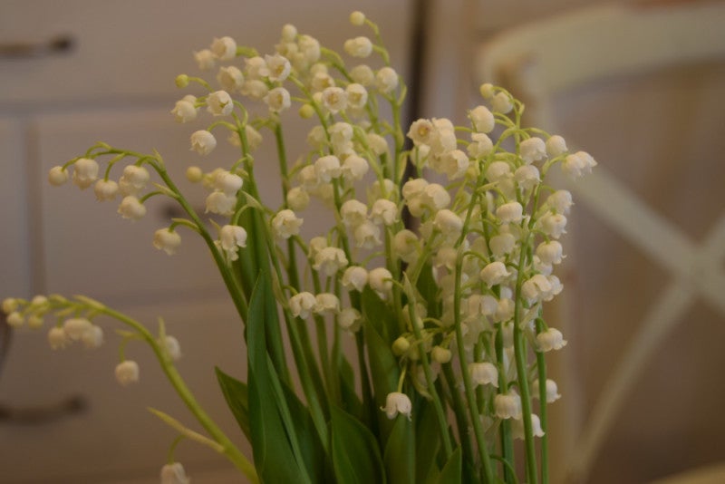 5月3日の誕生花 スズランの花言葉 オリジナルなプレゼントがつくれる山本彩代のフラワーアレンジメント教室