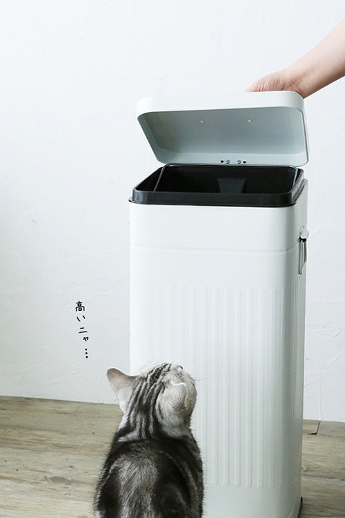 お悩み解決】猫にゴミ箱を荒らされないための3つのポイント！ | ねこ