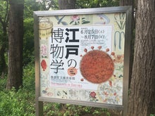 江戸