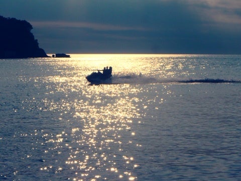 {A36A8794-750D-4134-93A5-B87AD8087E90:01}