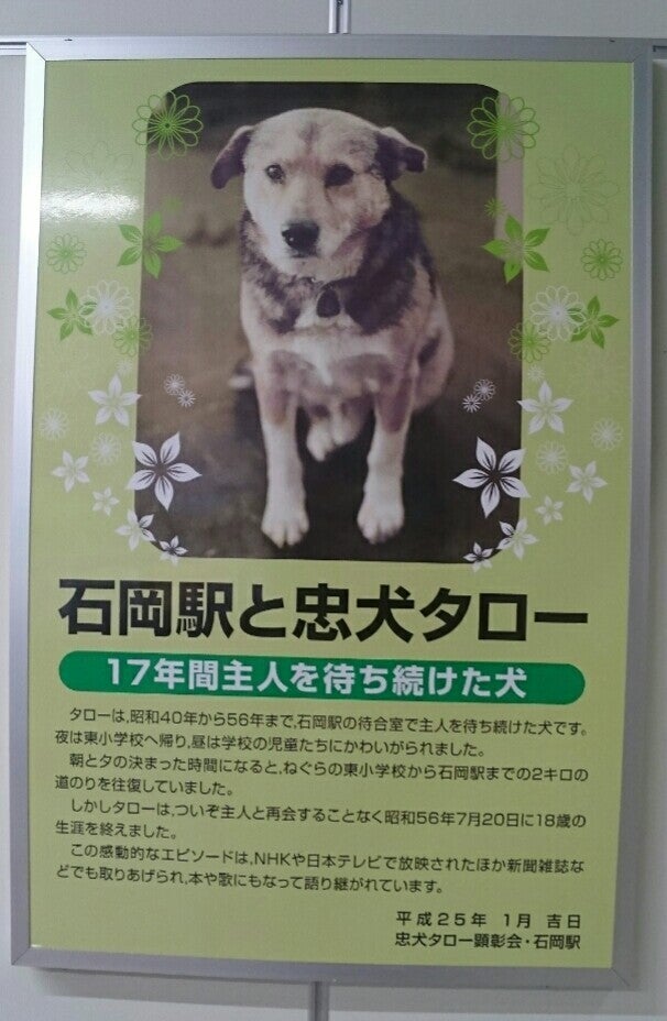忠犬タロー』 石岡市にも実在した名忠犬(リブログ記事あり) | 茨城県の