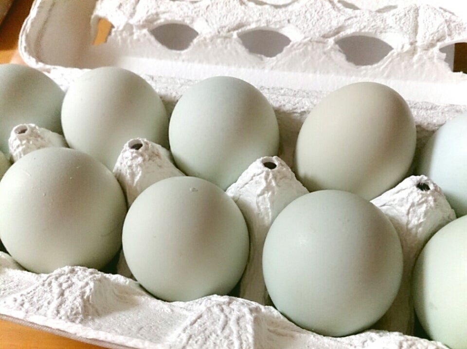 翡翠の卵 | 料理教室しばらく休業