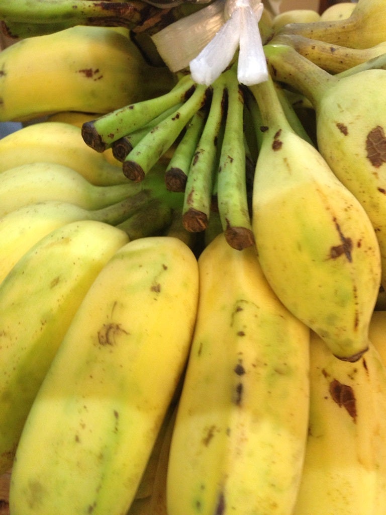 国産 無農薬バナナ！！ | ikoのブログ