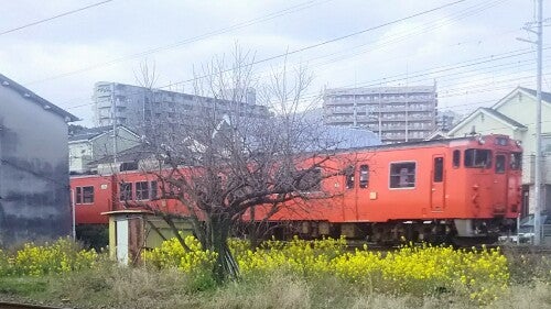 キハ40系 -⑩ | 安芸もみじ ─ Photographs, Historys, Railways キハ40系 -⑩ | 安芸もみじ ─ Photographs, Historys, Railways