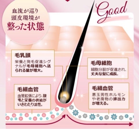 ヤマノ肌 薬用育毛エッセンス 琥珀パワーエキス和漢でエイジング ヤマノ肌 薬用育毛エッセンス 琥珀パワーエキス和漢でエイジング