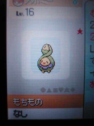 色違いスボミーとマンキー ポケモン ジュラルミンかこー