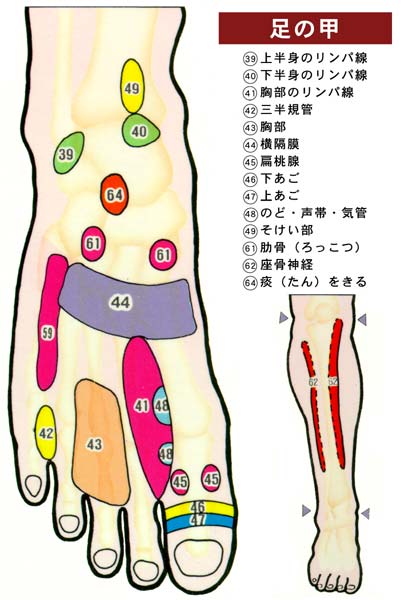 ツボ 足 親指 足つぼを押して痛いところでわかる不調と効果的な足つぼマッサージ