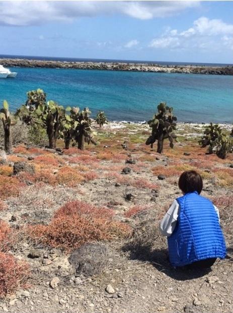 夏菜　ガラパゴス諸島で壮絶ロケ、10日で体重4キロ減