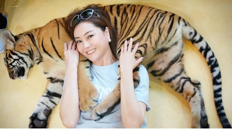 観月ありさが年末年始はタイへ、笑顔で虎に接近する